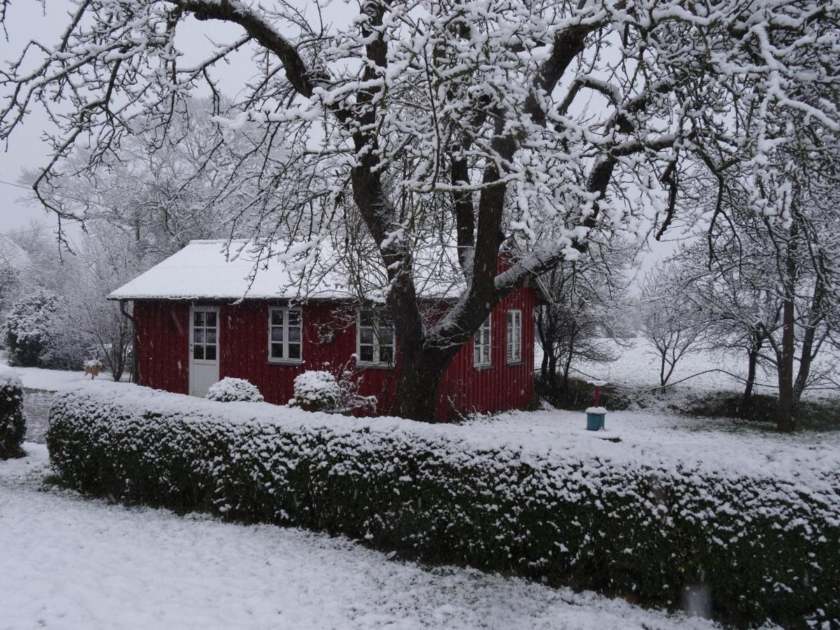 Hansenhof Kappeln Buitenkant foto